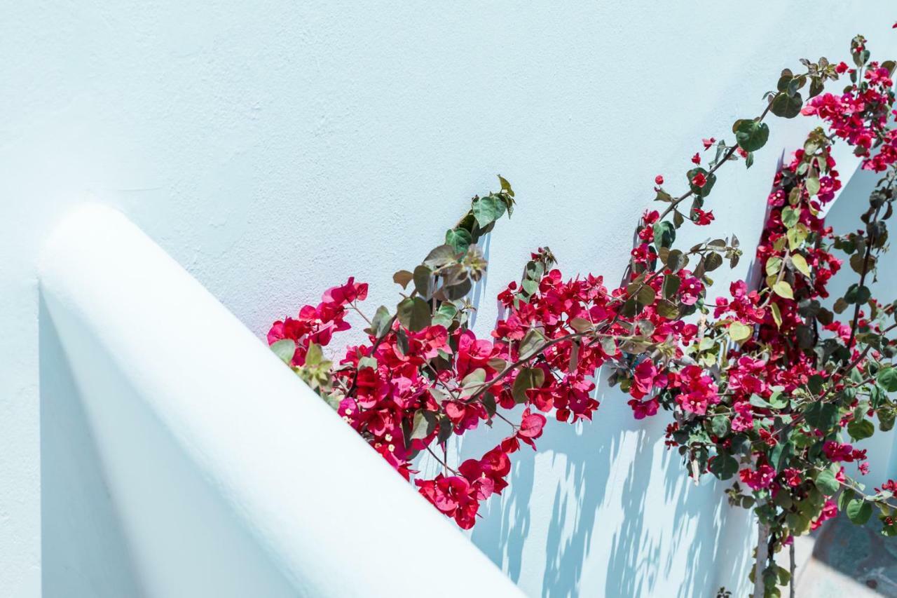Bohemian Luxury Boutique Hotel, Adults Only Naousa  Bagian luar foto